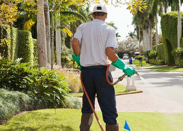 About Scott City KS Pest Control